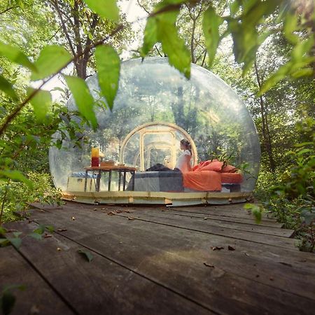 Camping Future Is Nature Playground Sala Biellese Eksteriør bilde